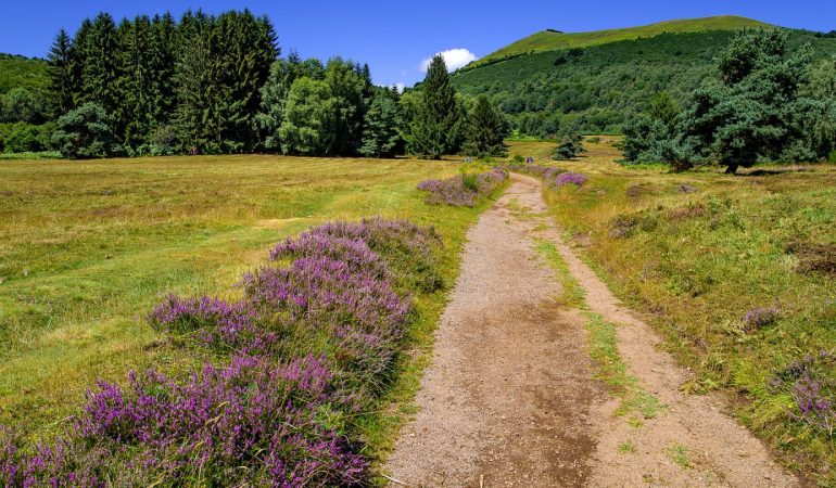 Puy-de-Dôme en voiture : les étapes de la route des volcans